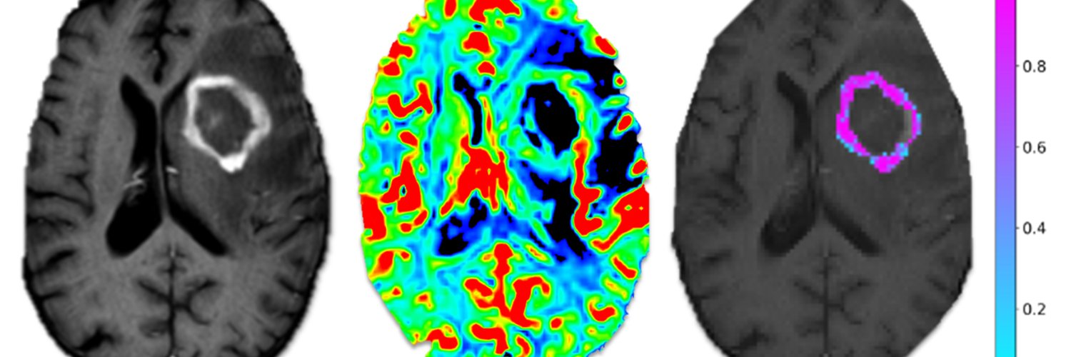 Albert Pons-Escoda banner