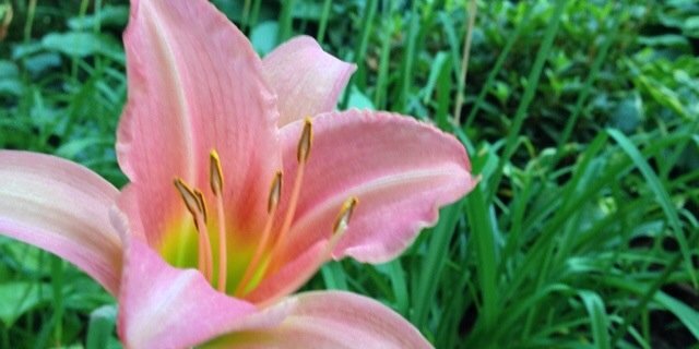 jnsamuelson's profile banner image