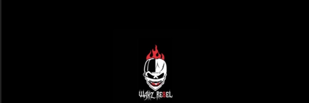 WakzDgeneral👨🏾‍✈️'s banner