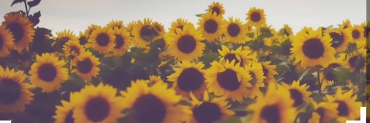 _cassyroseman's profile banner image