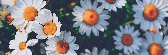 Larissae_8's profile banner image