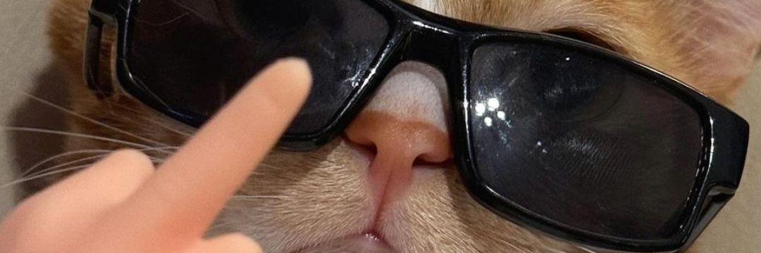 icarosnt's profile banner image