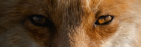 Jdubcaptures Profile Banner