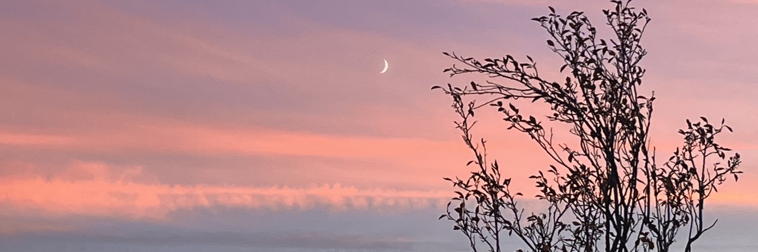 egogh_'s profile banner image