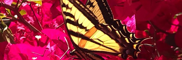 KristinaRevay Profile Banner