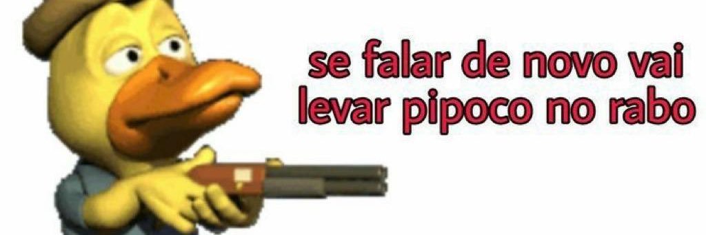 Cinthya_Heloisa's profile banner image