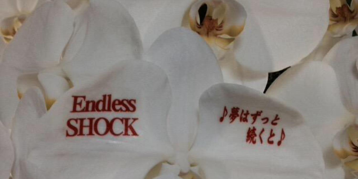mirror51shock's profile banner image