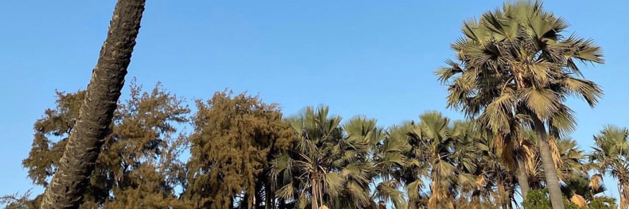 ModouMarega's profile banner image