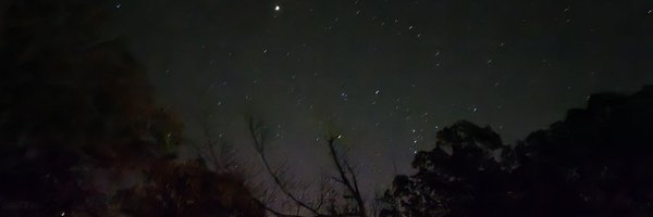 PaWicked Profile Banner