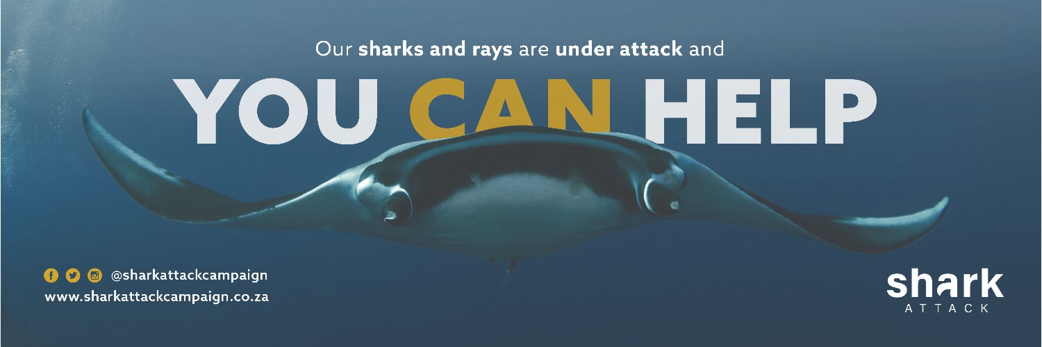 Sharks Under Attack banner