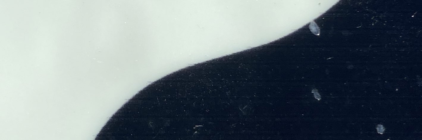 6igCockZeek's profile banner image