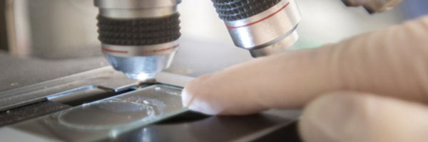 SinaiAllergy Profile Banner