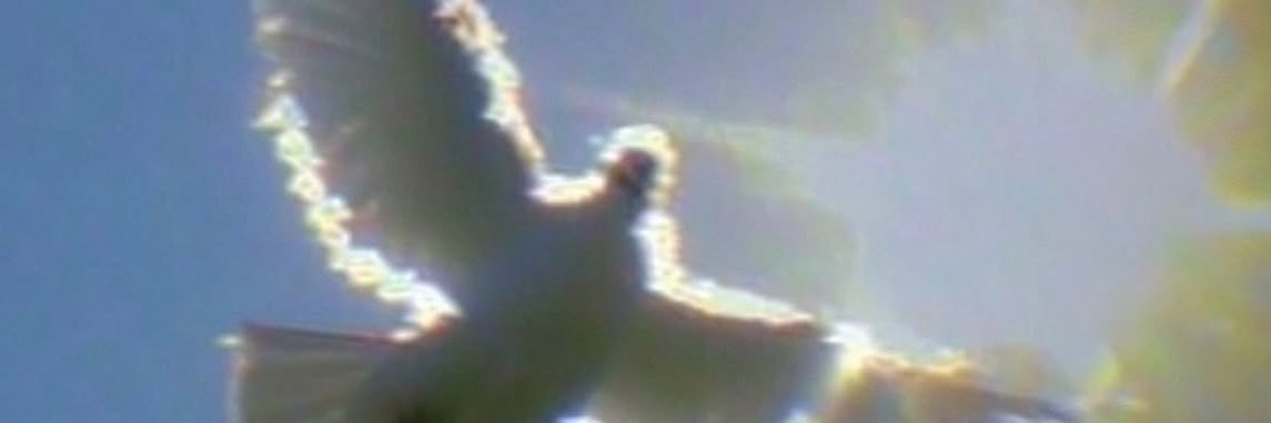 dant684's profile banner image