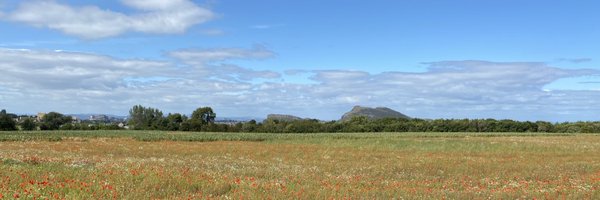 MrsLi_J Profile Banner