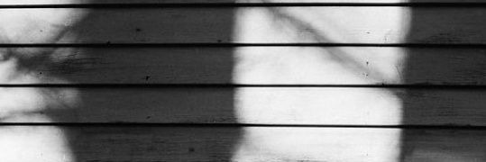 lighthearcher's profile banner image
