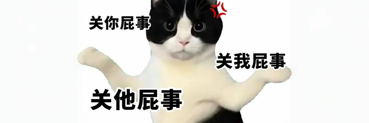 布吉岛上的猫meme banner