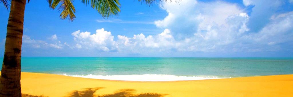 Kevin Moncada-Luna banner