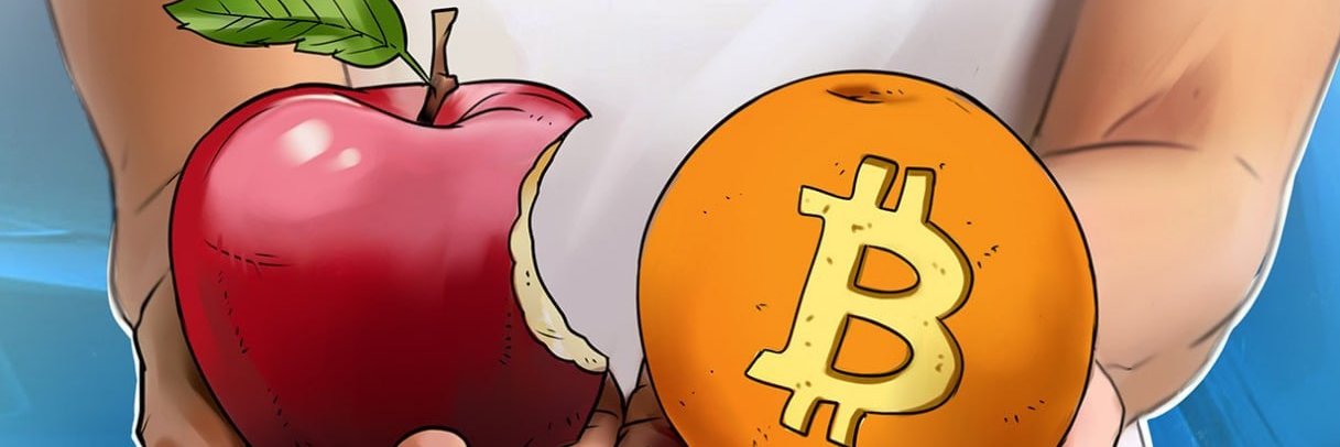 Lion NFT Crypto 🚀STON.fi banner