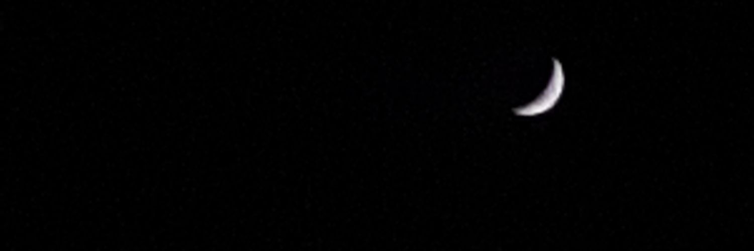 SofiaRealC's profile banner image