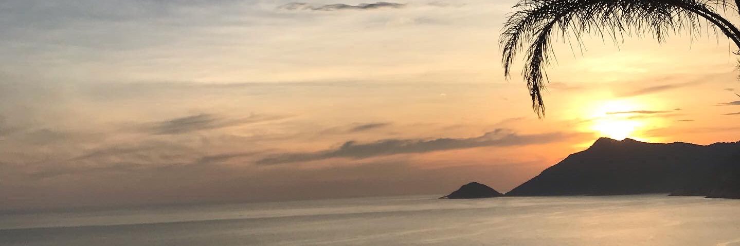 AnjosDafny's profile banner image