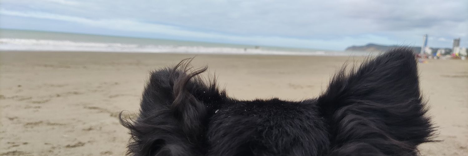 Janell banner