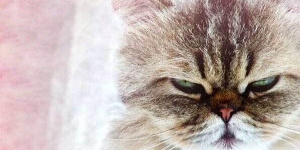 hide_rambling's profile banner image