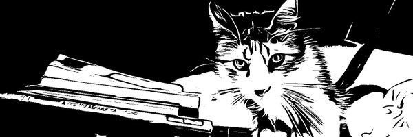 TraicionandoEmi Profile Banner