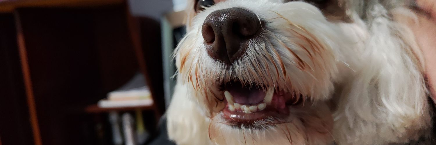 matheusmazarin's profile banner image