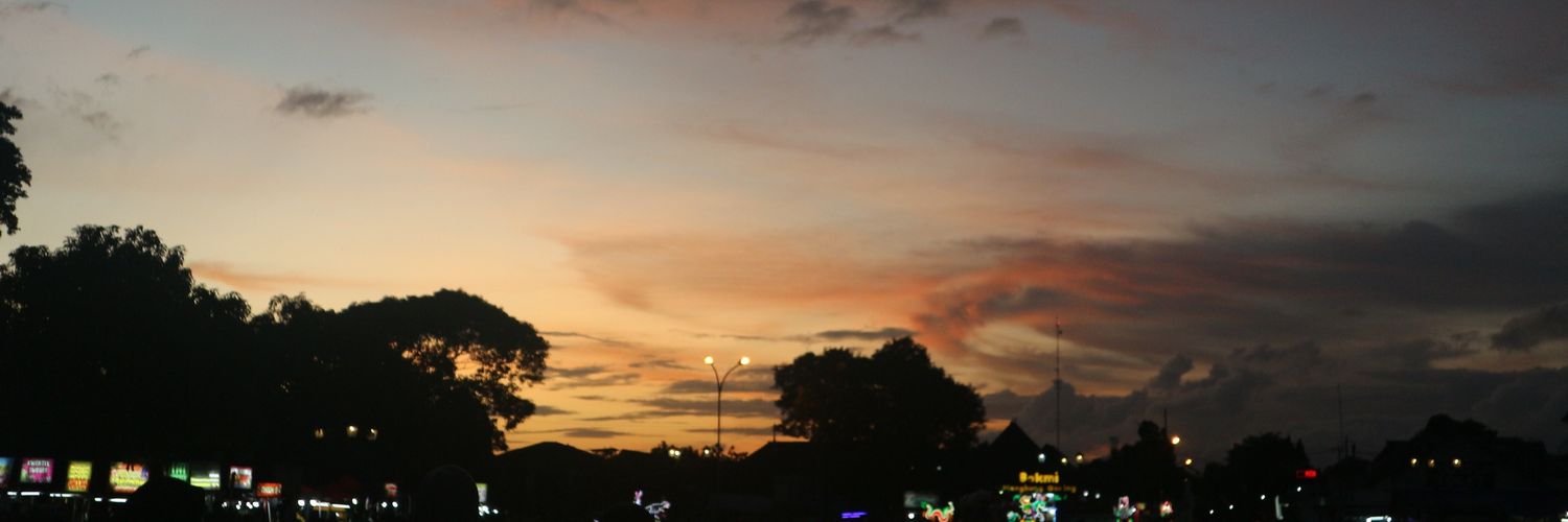 dimsumpit's profile banner image