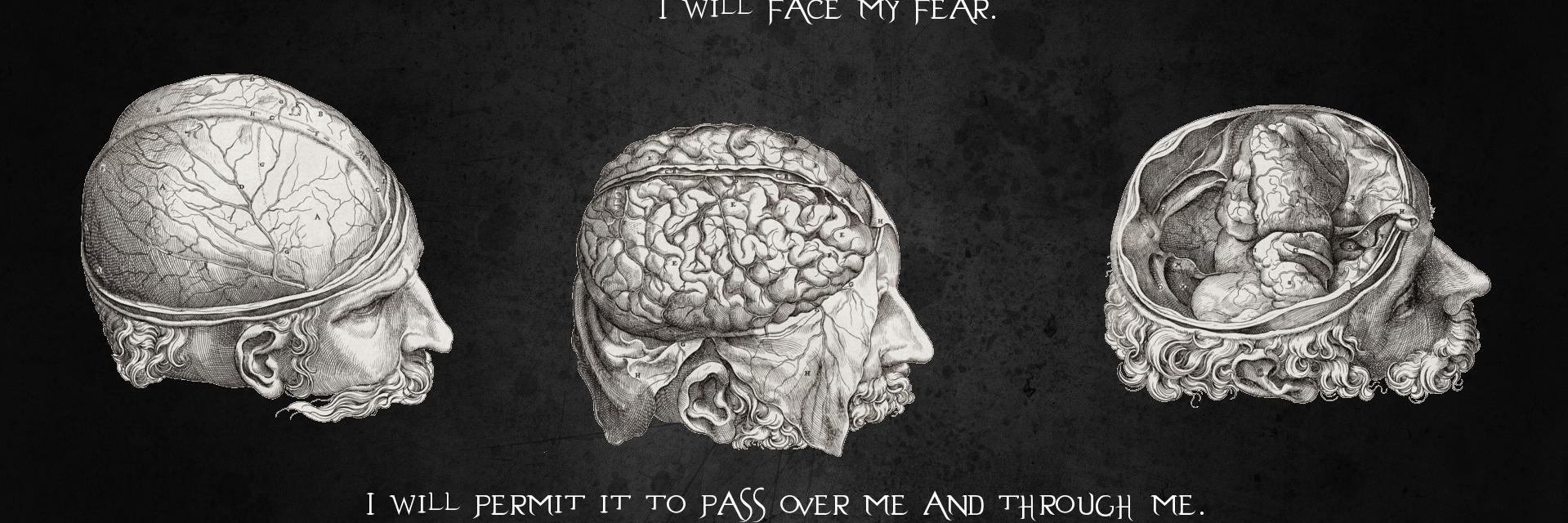 Psy_Ghoul's profile banner image