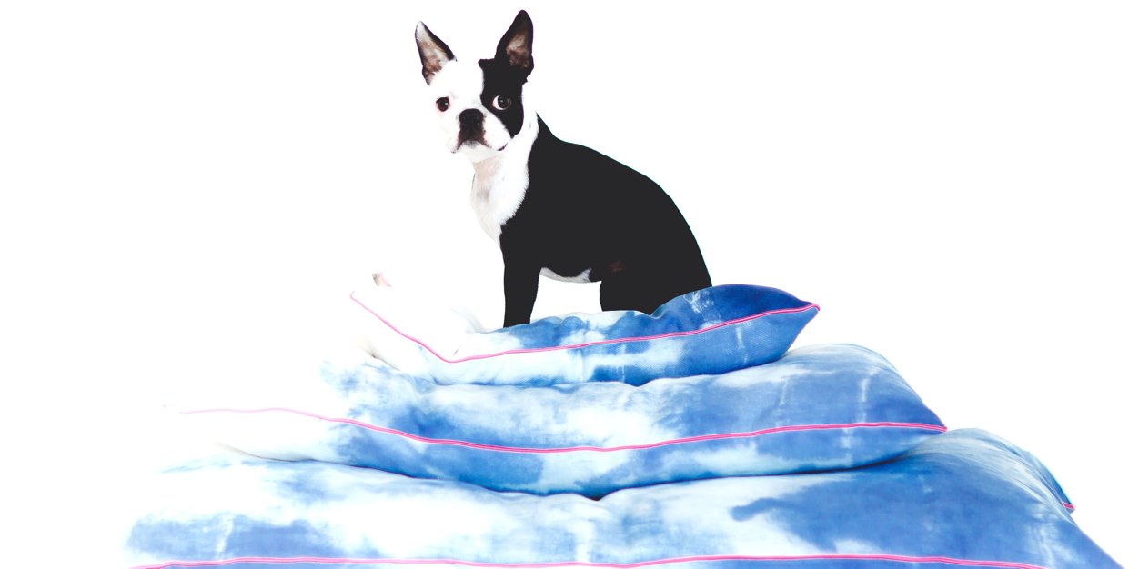 Dogandcrow's profile banner image