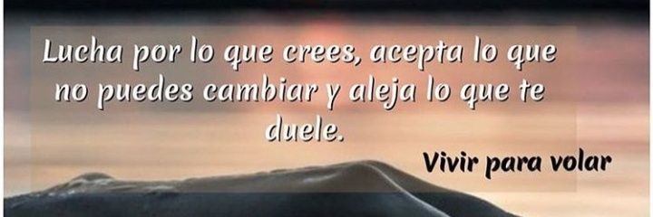 Silvia banner