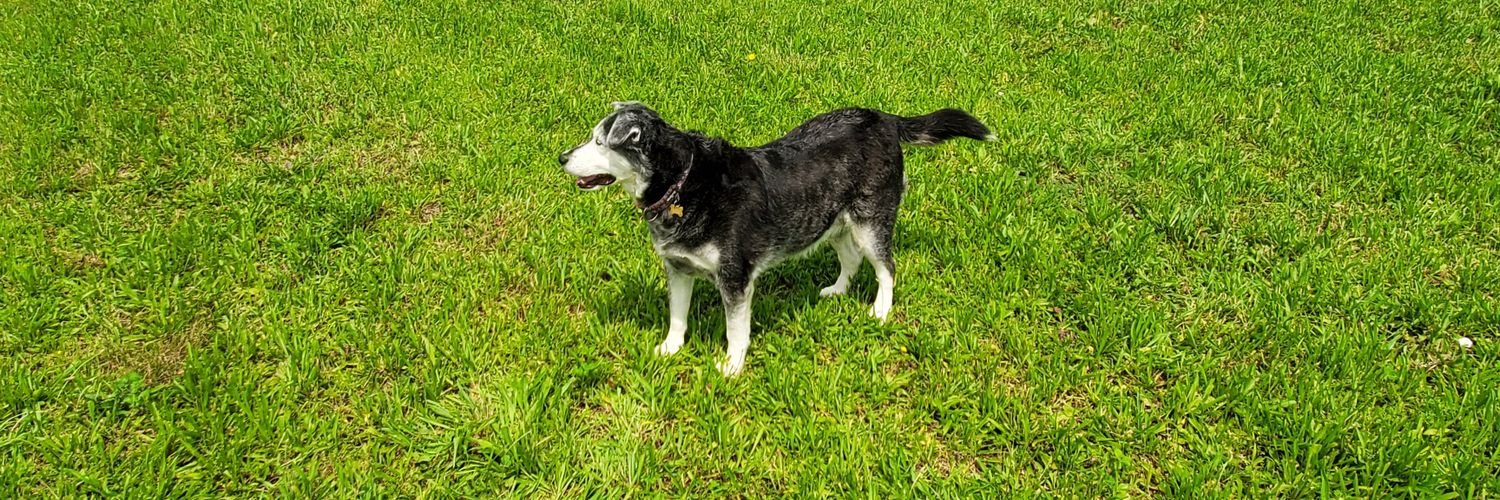 Kevin Chaulk - Married banner