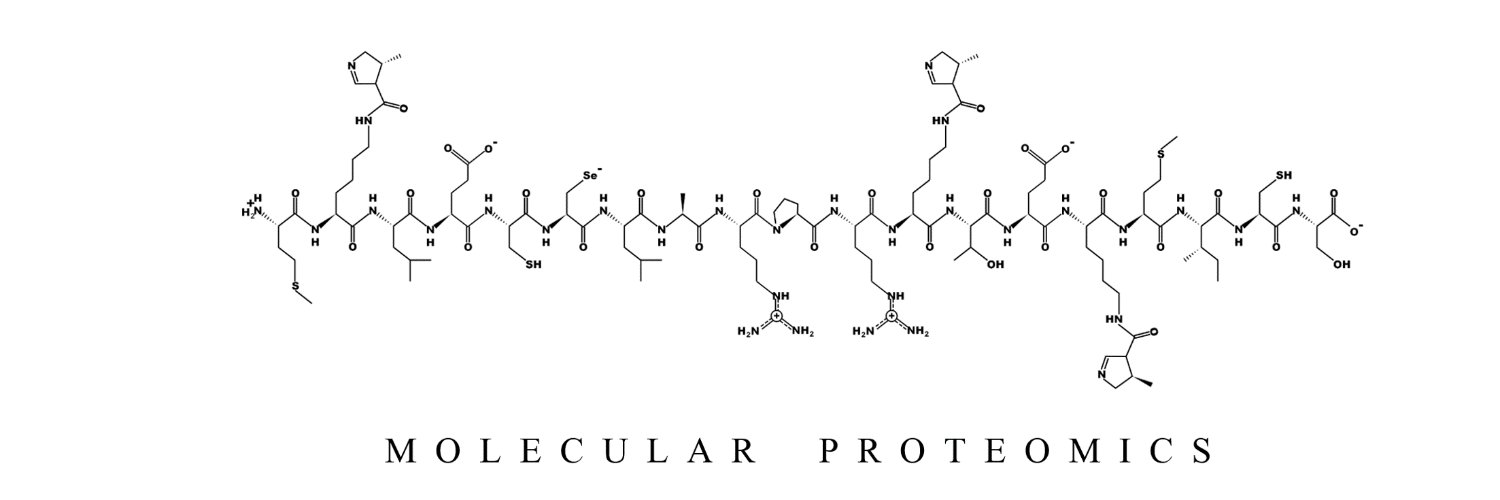 MolecularProteomics_Lab banner