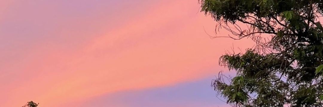 den banner