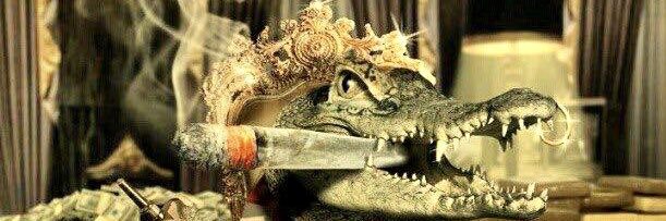 GATORBOIKINGPIN's profile banner image