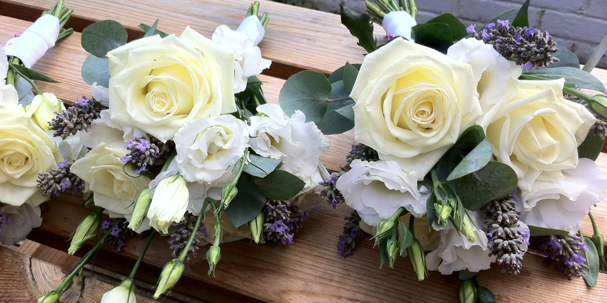 Victoria Hawkes banner