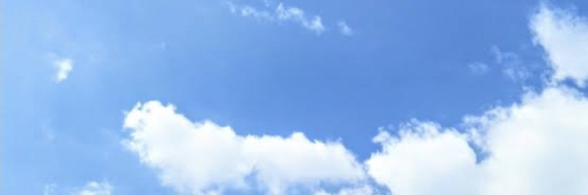 มามี๊น้องซ่ง 🦢 banner