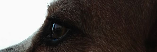 Extra4four's profile banner image