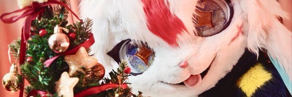 RubyNibel Profile Banner
