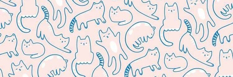 vitkeu_capcap's profile banner image