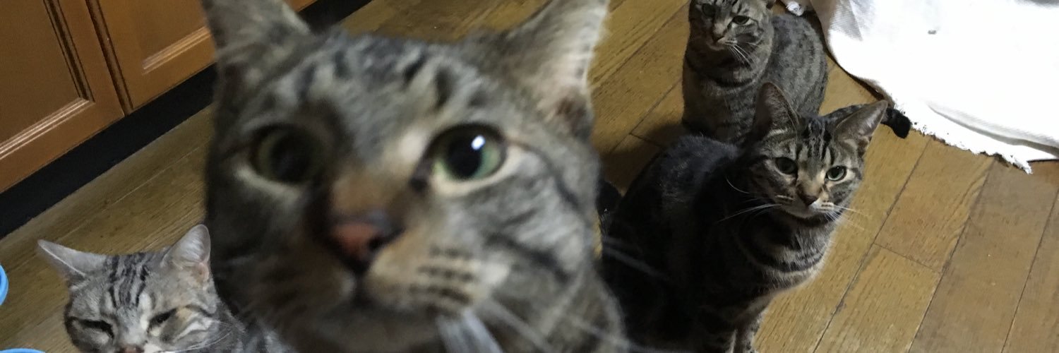 naogreen6's profile banner image