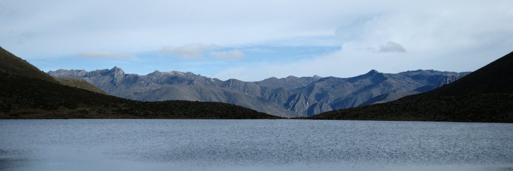 David Hernandez banner