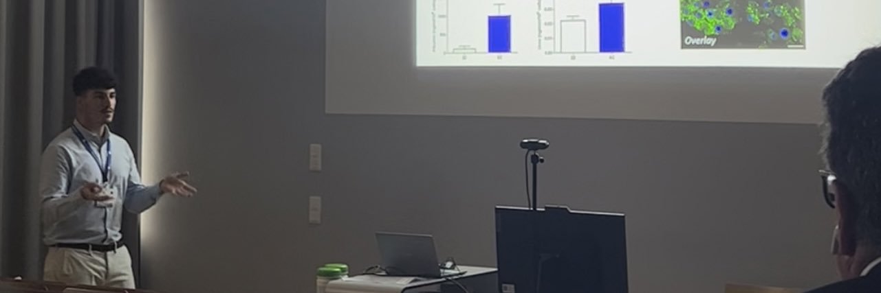 Julio Rodriguez banner