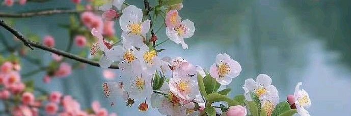 fabienne billat banner