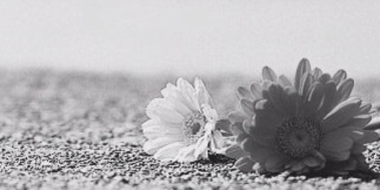 rosha_i's profile banner image