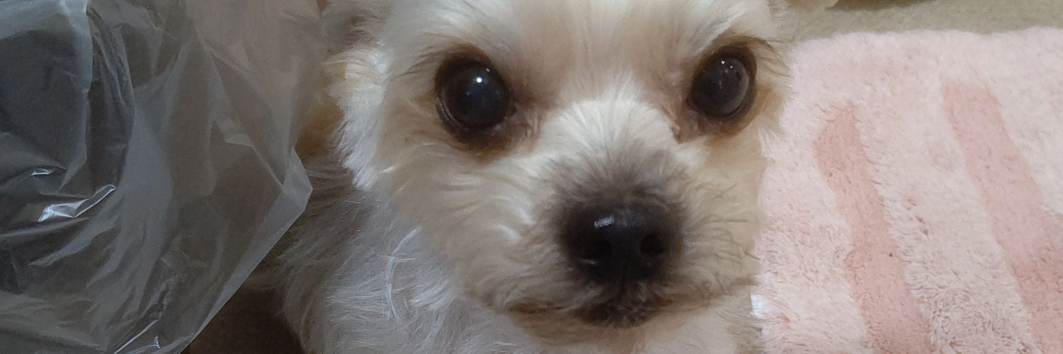 deadendghost's profile banner image