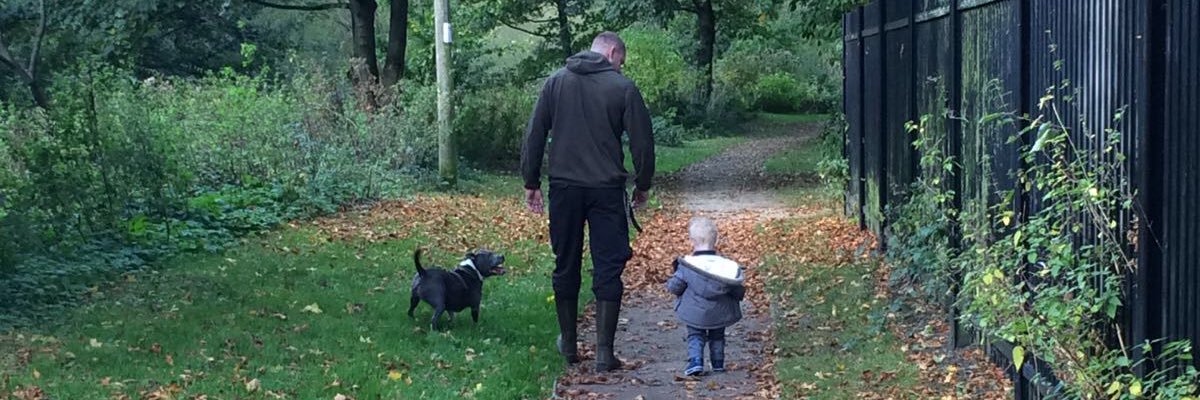 StDavies1's profile banner image