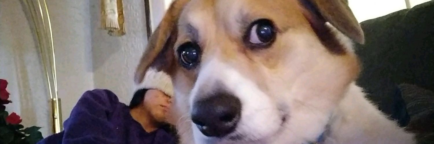SaintanicTheGod's profile banner image