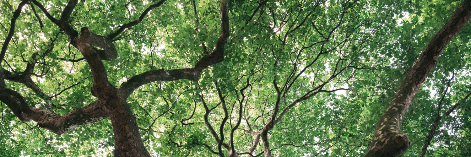 The Conservation Foundation banner